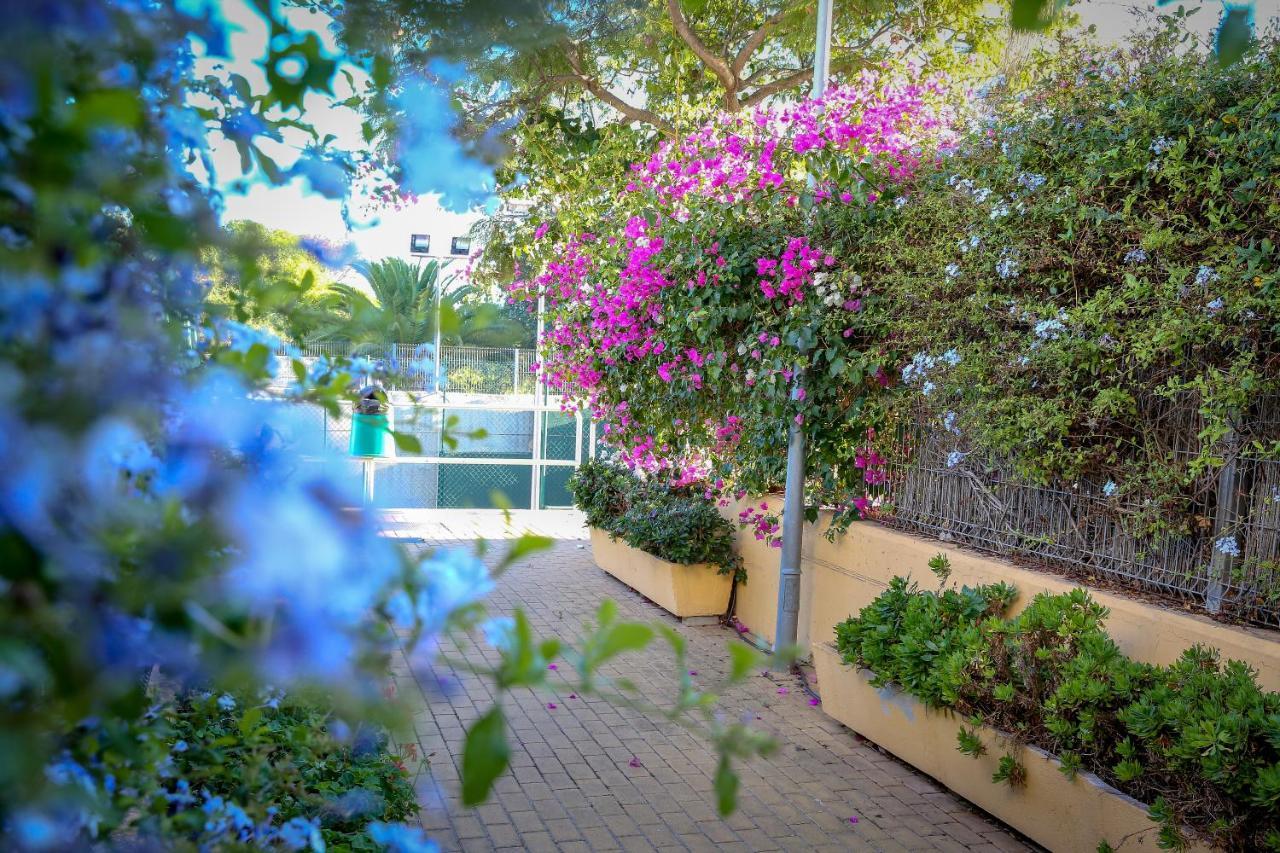 Montesol Home - Parking Gratis อายามอนเต ภายนอก รูปภาพ